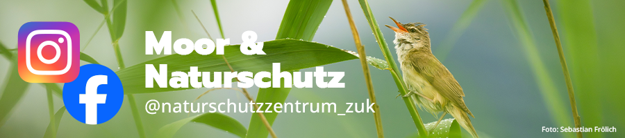 KBB Natur.png