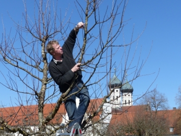 P1050897 (Obstbaumschnittkurs Oeschberg-Palmer).JPG