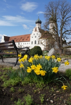 DSC05003 (Klostergärten-Führung im Frühling)-komp.jpg
