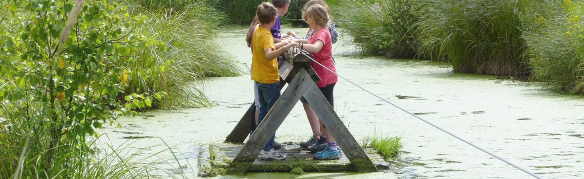 dbkbb-ökologische exkursion-b.jpg