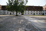 IMG_8695