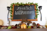 wolf-bild-130-0803