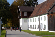 wolf-bild-157-3445