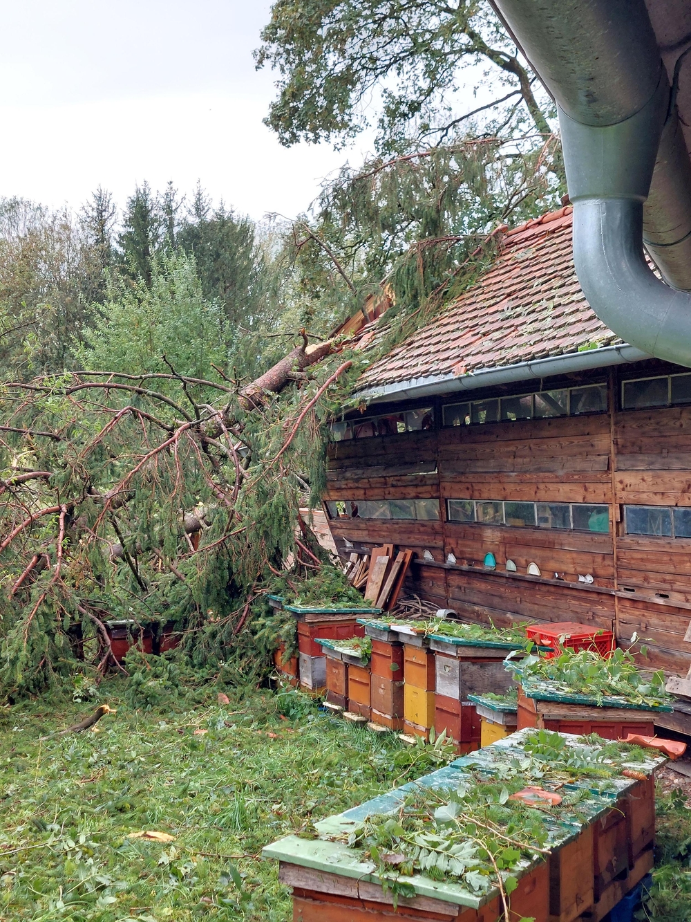 52+ Der Unbegreifliche Garten Und Seine Verwüstung, Die modernen